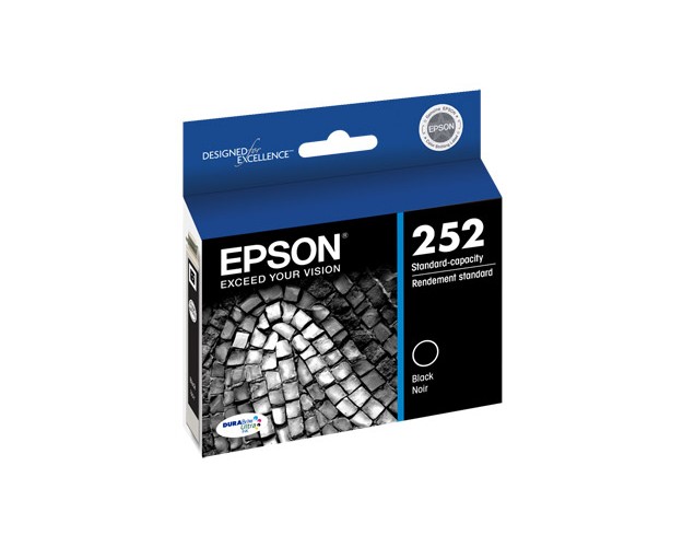 Epson NO. 252 Black Inkjet (350 Page Yield) (T252120)