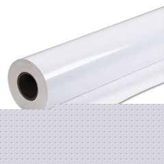 OCE Photo Perfect Plus Glossy Photo Paper Roll (60in x 100Ft.) (GIPPLS7006)